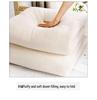 Xinjiang Long-Staple Pure Cotton Quilt for Dormitory - All-Season Single Person Spring/Autumn Use