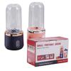 Portable Bottle Electric 6 Blades Multifunction Juice Blender Fresh Juice Smoothie Blender Ice Crushcup Food Processor