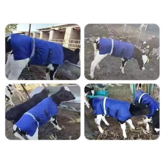 Winter Cow Blanket Waterproof Quilted Horse Blanket with Belly Wrap Windproof Plush Lined Turnout Blanket with Adjustable Buckles for Calves Horses