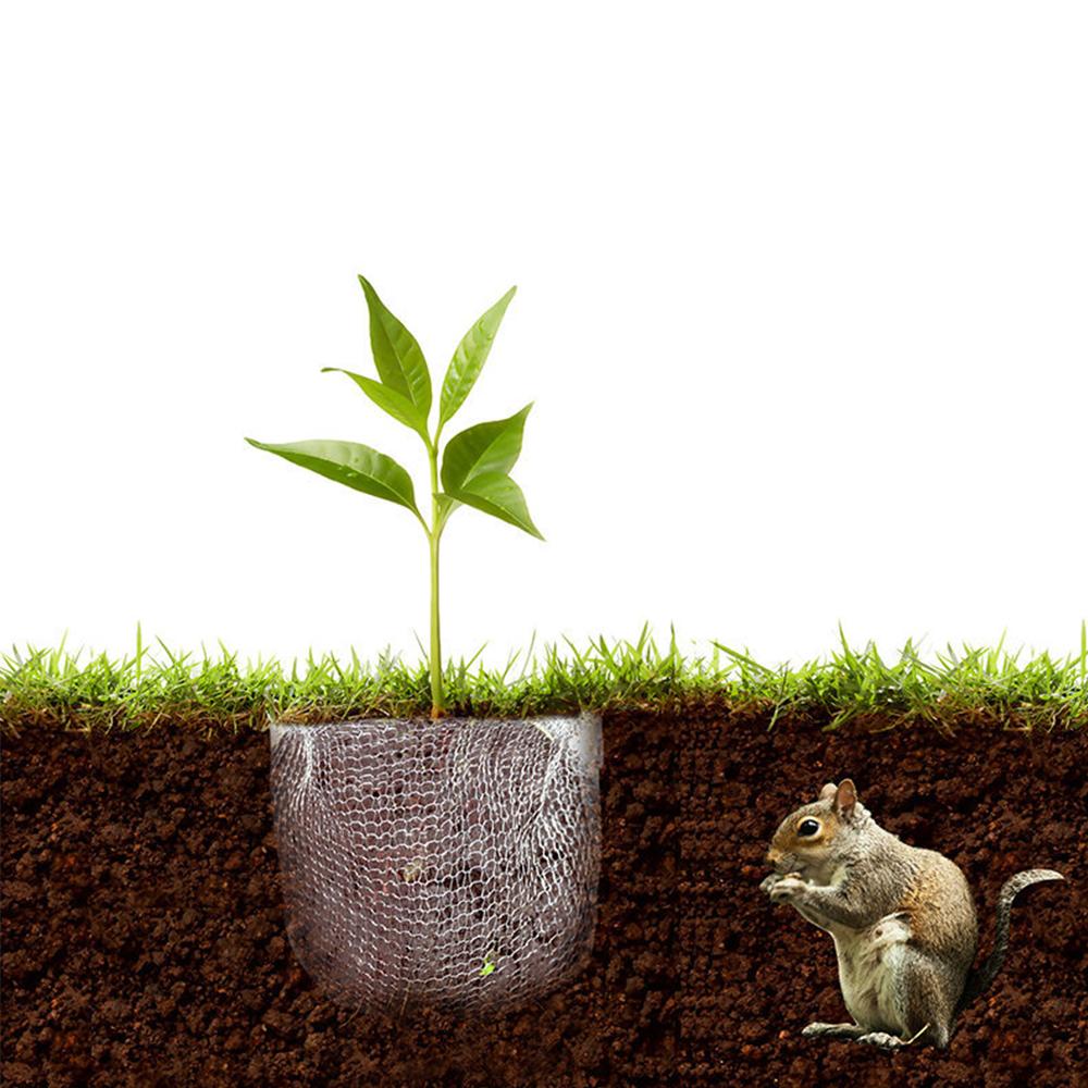 4pcs Stainless Steel Root Guard Baskets for Garden Plant Root Protection 18x16in