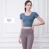 DAYCLOSET Yoga Top with Short yoga151 Women's Cups, Sleeves, Stretch, Lightweight, (L, Blue)