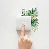 4pcs/set DIY Flower Leaf Switch Sticker Removable Waterproof Green Plant Switch Sticker Self-adhesive Leaf Decal Living Room