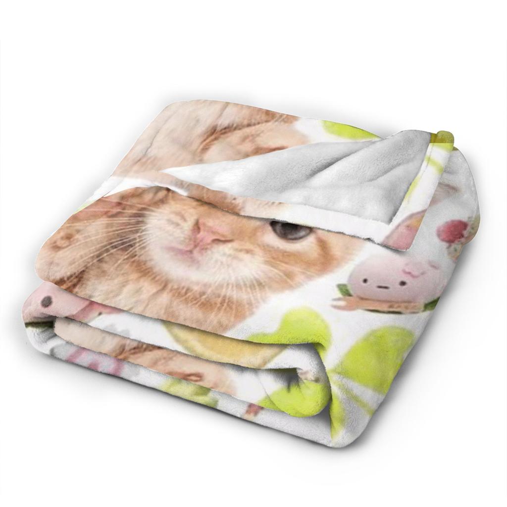 Cat Meme Photos Warm Blanket  Child Plush Throw Blanket Fluffy Couch Chair Flannel Bedspread Sofa Bed Cover