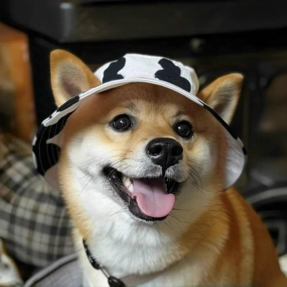 S/M/L Cat Sun Hat Cotton Pet Caps Cute Cat Bucket Hat  Travel