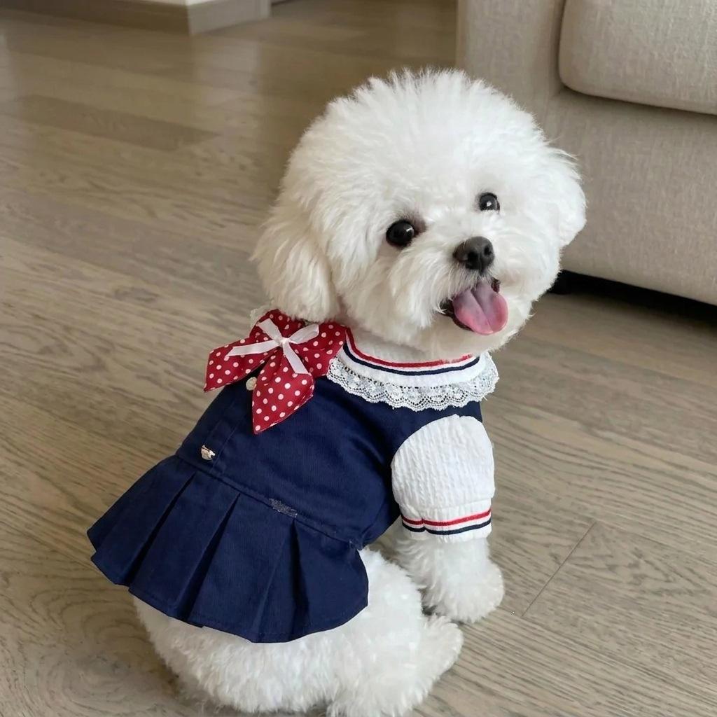 Autumn and Winter Pet Plush Warm Shirt Teddy Cat Dress Dog Coat Dog Clothes for Small Dogs Puppy Clothes