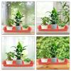 2Pcs Rectangular Plastic Plant Saucer Tray for Flower Pots Drip Proof Water Catcher Indoor Outdoor Gardening Accessory Drain
