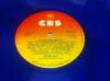 LP Record DORIS DAY  20 Golden Greats PR5053 Warwick Records 1978 UK Jazz Used