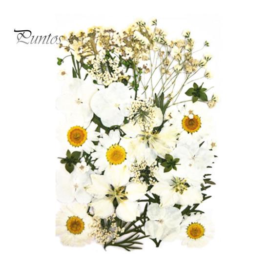 DIY Harz Kunst Blumen-Set 1 Set Getrocknete Gepresste Blumen Bunte Natürliche Bastelbedarf Kerzenherstellung Schmuck Epoxidform Vase Nagelkarte Scrapbooking