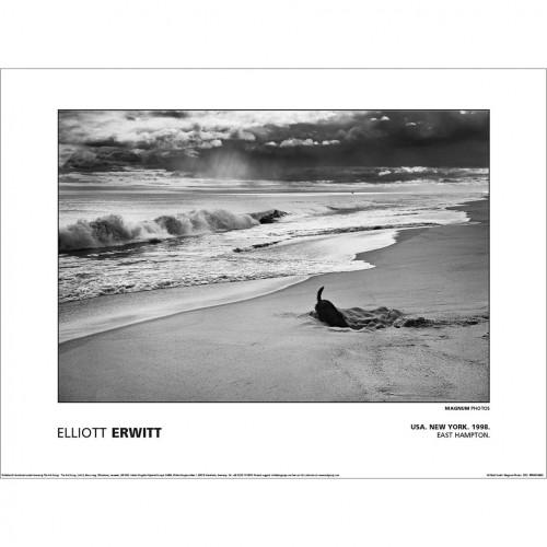 MAGNUM Elliot Erwitt - USA Nowy Jork East Hampton 1998 Druk na papierze