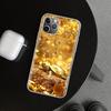 Fine Gold Pattern Printing Phone Case Cover for iPhone 11 12 13 Mini 14 15 Plus 16 Pro Max 17 Air 7 8 + SE Art Customized Fundas