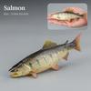 Set di Action Figure Modello Animali Marini - Pesci Oceanici Tonno Pesce Vela Persico Cernia Salmone PVC Giocattolo Educativo per Bambini