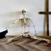 Halloween Skeleton Life Size Human Skeleton With Posable Joints Weather-Resistant Outdoor Decorations Spooky Photo Props Party