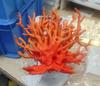 Fish Tank Coral Ornament Package Simulation Coral Tree Small Sea Water Tank Set Fish And Shrimp Resin Evacuation House Decoration Complete Collection