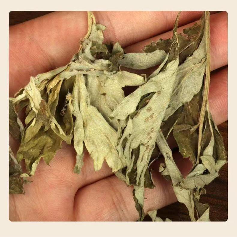 Mugwort Foot Soak Bags - Wild Pure Mugwort Blend (500g) for Relaxing Foot Bath