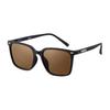 Shimano Wellington Glasses 01 Polarized UJ-051Y Brown/Matte Black