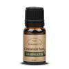 PU:US GTNTEPHS Organic Cinnamon Bark Essential Oil 10ml