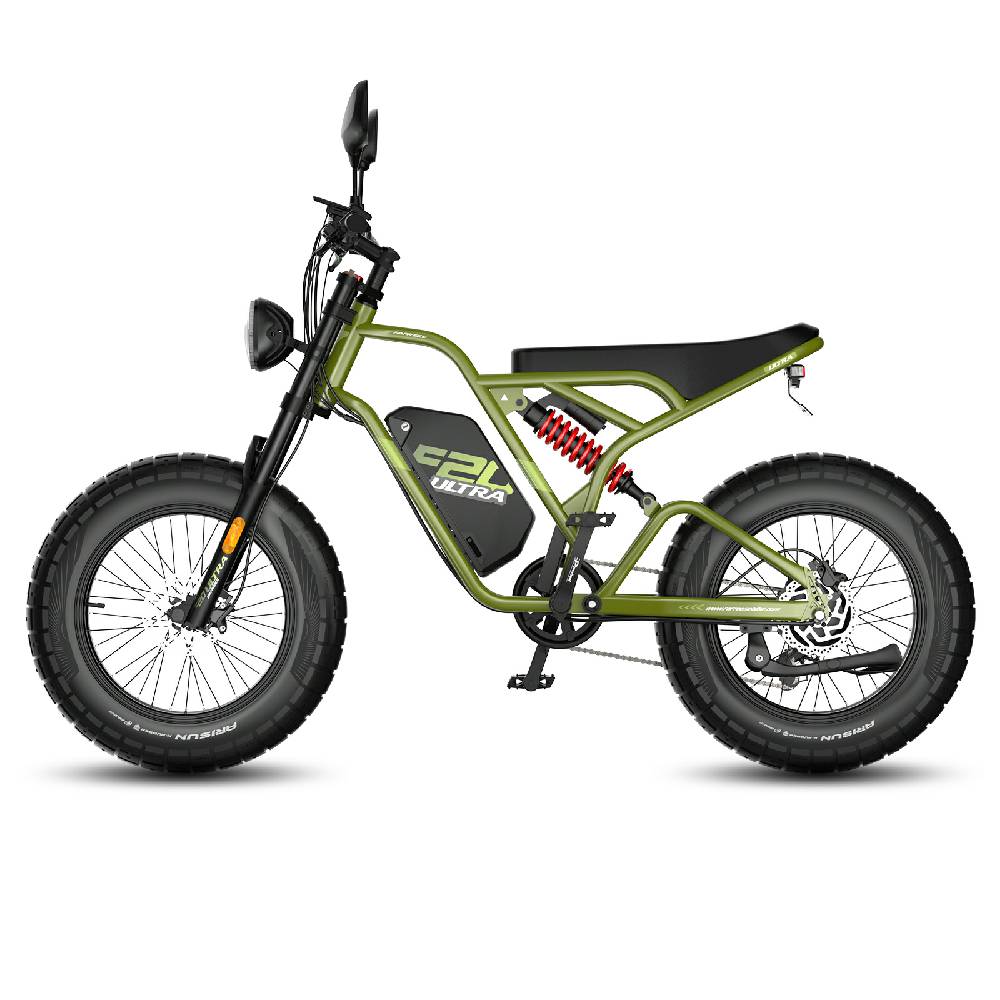 Electric Bicycle Fafrees F20 Ultra 20" Fat Tire 750W Motor Dual Hydraulic Brake 48V 25AH All Terrain Adult Electric Bike 7 Speed