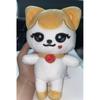Plush Kawaii Cartoon Jang Won Young Plushies Doll Cute Stuffed Toys Pillows Home Decoration Gifts