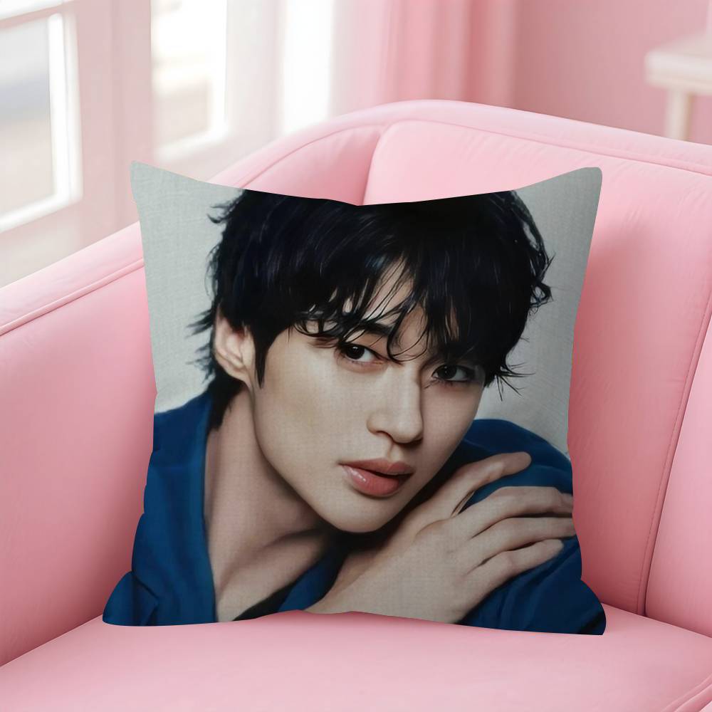 Korean Celebrity Byeon Wooseok  Pillow Gift Home Office Decoration Bedroom Sofa Car Cushion Cover case 45x45