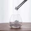 Japanese Creative Wine Warmer Chilled Pot Set,New Shot Glass,Household Glass Clear Wine Pot Bar Accessories Cocktail Shaker Gift