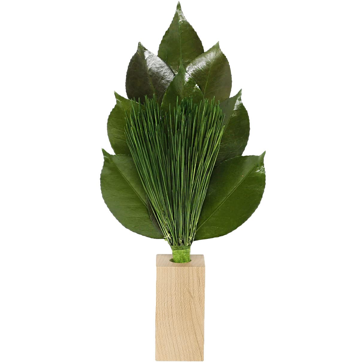 

A&K Premium Arajin Pine Preserved Flower Set with Vase (Small Size) for Offerings (Produced in Tanba) Sakaki