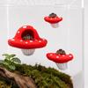 Svampformet Hoppespindel Platform Klatrestige til Spindelt terrarium Hoppespindere