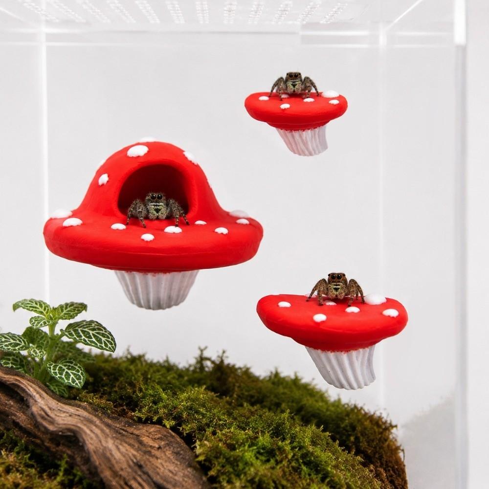 Cloud-shaped Jumping Spider  Platform Climbing Ladder for Spider Terrarium  Vivarium