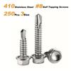 250pcs 410 Stainless Steel Self-Tapping Screws Kit , Hexagonal Self-Drilling Screws for Metal/Furniture