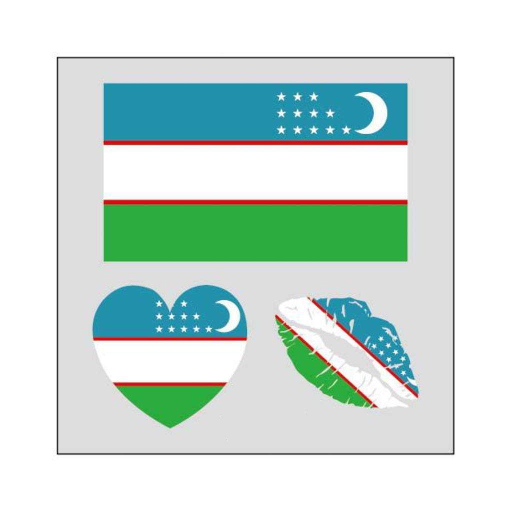 Decal Sticker Set with Argentina Flag Heart Shape and Lip Print Design for Laptops Bottles Suitcases Notebooks and More