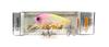 Prodám Gamakatsu 19173 Knockin' Roll SR 60 Lure 17 Crystal Candy Crown (6648)