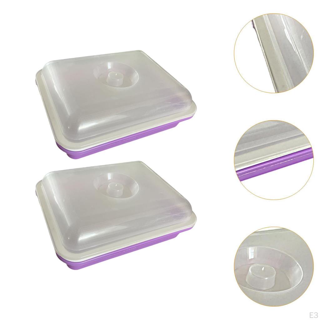 Seed Sprouting Trays for Plant Growth