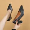 Fashion single shoes women's thick heel spring and summer new pointed work shoes shallow mouth pedal high heels
