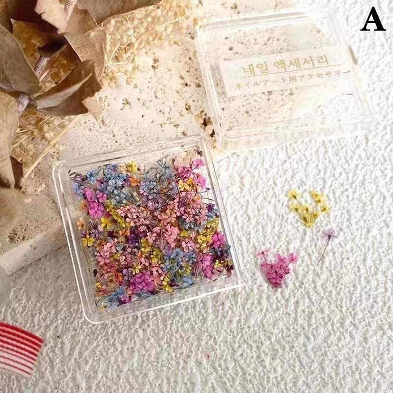 1Box Nail Art Flower Decoration Delicate 3D Dried Flower Nail Art Decorations Exquisite Nail Art Beauty For Charms Accessories