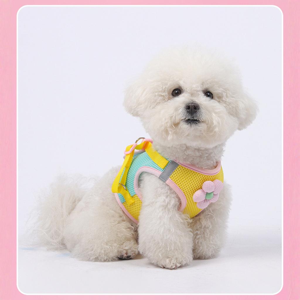 Blumennetz-Hund mit passender Leine, Leichte Haustierweste, Geeignet für kleine und mittelgroße Katzen und Hunde