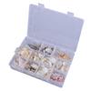 Floating Seashells Display Box Large-capacity Seashells Decorative Storage Box for Home and Beach Decoration