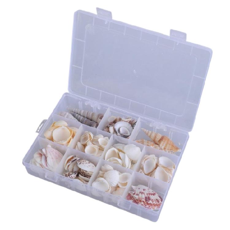 Floating Seashells Display Box Large-capacity Seashells Decorative Storage Box for Home and Beach Decoration