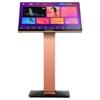 SANSUI C36 24-inch Smart KTV Karaoke Machine (CN Version)