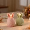 DIY Easter Cute Fat Little Rabbit Silicone Candle Mold Aromatherapy Candle Rabbit Shaped Gypsum Resin Mold