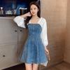 Women's Denim Dress A-line Skirt Puff Sleeves Spring and Summer Sexy Above The Knee Length Daily Wear Office Dating Party