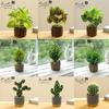 Creative Wooden Basin with Artificial Green Plant Bonsai Ornament for Display and Decoration.
