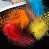 50pcs Small Size Natural Feathers Spotted Pattern Real Plumes Spotted Feathers Multicolo Natural Color Fake Eyelashes DIY