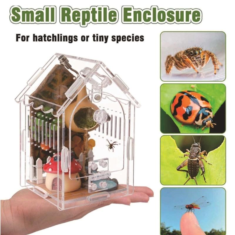 Clear Acrylic Pet Habitat with Ventilation Openings Small Acrylic Animal Home for Proper Ventilation and Security