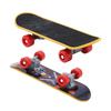 Vogelspielzeug Lustiger Papagei Mini-Skateboard-Spielzeug Vögel Trainings-Skateboard Für Wellensittiche Wellensittich Wachstumsspielzeug Haustier-Spielzeug Vogelzubehör