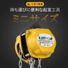 NEWTRY 0.25t 6m Manual Chain Hoist, 250kg Capacity, Lightweight, Mini Size, Compact Design, Portable, Alloy Steel, Corrosion-Resistant Chain, for Fact