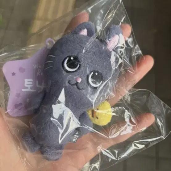 

Riize 8cm Baby Tonyangduk