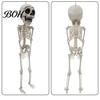 Halloween Party Supplies Posable Skeleton Decoration, 41 Inch Full Body Hanging Human with Decorative for Fireplace Movable Joints Yard Garden