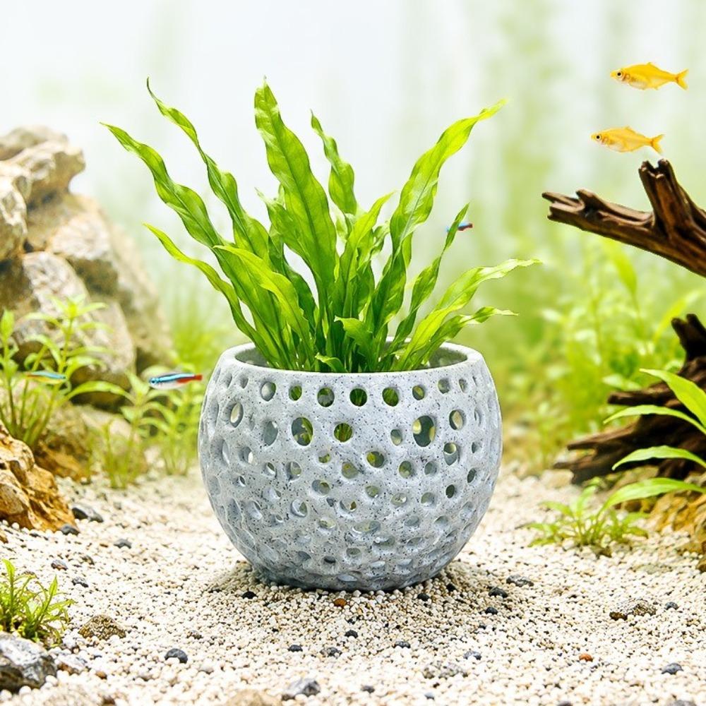 Hollow Aquarium Planter Pot 3D Printed Aquatic Plant Container Fish Tank Landscape