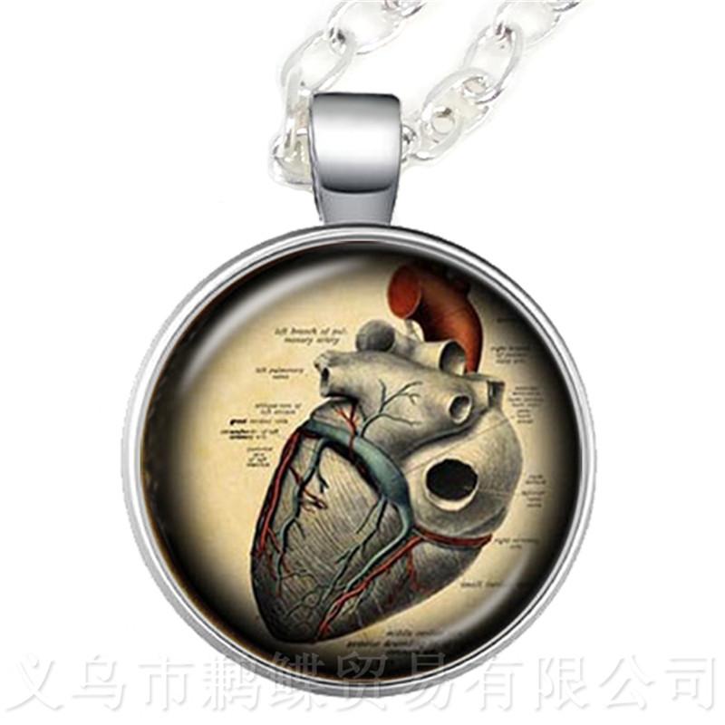Human Anatomy Organ Necklace Glass Cabochon Science Medical Punk Brain Eye Jewelry Sweater chain Creative Gift
