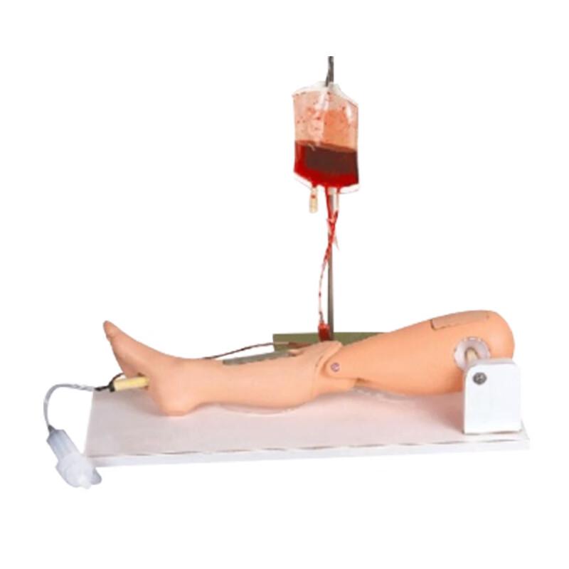 AWR Bone and Femoral Vein Puncture Training Model