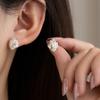 Strawberry Love Zircon Stud Earrings Light Luxury Niche Design Earrings Femininity Unique High-End Ear Jewelry